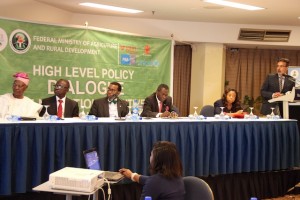 Dr. George Mavrotas, NSSP Program Leader, presents at the FMARD High-Level Policy Dialogue on Nutrition Sensitive Agriculture in Nigeria. 