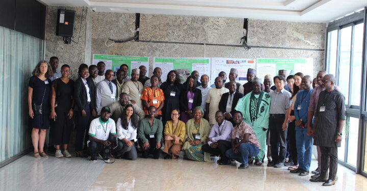 Rethinking Food Markets and Value Chains for Inclusion and Sustainability:  Insights from the Nigeria Stakeholders Innovation Scaling Preparedness and Strategy Workshop